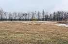 Teren de vanzare Siretu Saucesti Bacau - 6