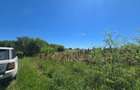 1 Decembrie - Teren intravilan,2331mp,plan constructie existent. - 3