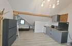 Studio modern la duplex parcare zona Shopping City - 3