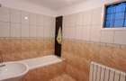 TINERETULUI (metrou) - DIMITRIE CANTEMIR, casa 2 camere, curte proprie - 7