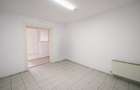 Demisol inalt 115 mp, 5 camere, 2 intrari  - Zona Parcul Carol / ideal investiti - 13