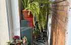 Apartament cu trei camere de vanzare-Crangasi-loc de parcare - 12
