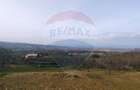 Teren intravilan generos 3.206 mp în Remecioara | Priveliște deosebită - 2