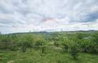 Teren 5,350mp Dobreni / Strada Manastirea Horaita - 8
