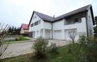 Vilă cu Piscina de închiriat în zona Iancu Nicolae - 2