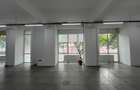 Spatiu Comercial | 261 mp | 20m Vitrina | Tineretului | Parc Carol - 3
