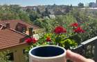 Apartament Ideal pentru zona Corporate in Platinia-str. Constanta - 1