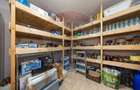 Casă individuală,cu beci, în cartierul Izvor – eleganță  confort - 17
