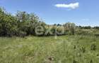 Intravilan 3015 mp Moșoaia | 48 ml deschidere | Lângă pădure - 5