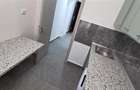Inchiriere apartament 2 camere Teiul Doamnei - 8