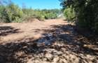 Snagov lângă Vila de Protocol a Jandarmeriei - 1