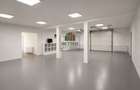 Hală / Spatiu Comercial Multifunctional – 300mp - Teren 784mp - Com.  Berceni - 18