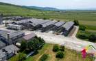 Teren 100.000 mp + Spatii Industriale Bacau - 2