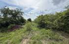 Teren intravilan 498,02 mp langa pădure , strada privata Corbeanca - 11