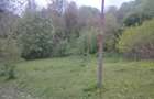 Teren intravilan | Provița de Sus | Breaza | PRAHOVA - 3
