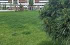 2 Camere-Copou-Bloc nou-TVA 21% inclus-Mutare imediata - 7