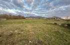 Bocsa Romana, 2 terenuri intravilan, 10.000 Mp.(59.900 Euro) si arabil, 80.000 M - 6
