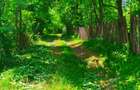 Teren intravilan Talea situat in mijlocul naturii ! - 14