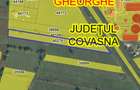 De vânzare teren extravilan în Sfântu Gheorghe! - 2