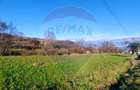 COMISION 0%  Teren intravilan de vanzare in Barsana (26 ARI) - 4