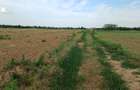 Teren intravilan de vanzare | Peris | 10.000 mp | Investitie sigura - 6