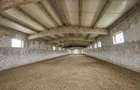 Hala Industrială / Agricolă | 800 MP Construcție + 800 MP Teren | - 2