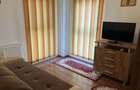 ap 2 camere Doamna Stanca parter,parcare,balcon - 7