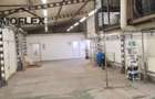 Spatiu comercial de inchiriat (productie si birouri sau doar birouri) - 7