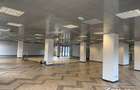 Birouri moderne 500mp, locatie ultracentral, piata Muzeului - 3