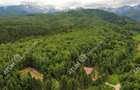 Teren intravilan 3000 mp in Porumbacu de Sus din Sibiu - 8