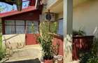 Casa cu 4000 mp teren, Letca Noua, Giurgiu — 1h de București - 10