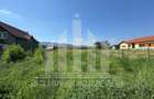 Teren intravilan | 4000 mp | 24.5 ml deschidere | Alba-Micesti - 4