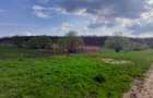 DE VANZARE TEREN 3400 MP IN SAT PODU ILFOVAT / COM BUTURUGENI (GR) - 10