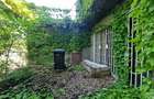 Eforie Sud- Casa P+1 caramida, 4 camere, teren 200mp- 120.000euro - 5