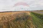 De vânzare teren intravilan, în Săbolciu, cu deschidere la E60 - 4