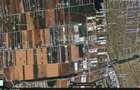 Teren 10.555mp Clinceni /Strada Drumul Mare 850 până la Sos de Centură - 3