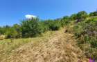 Teren Intravilan 546 mp | Panorama deosebita | PUZ in lucru - 7