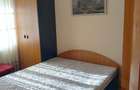 Apartament 2 camere busteni  - 4