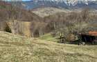 Teren intravilan 2500 mp Fundata la 15 km de  zona Bran-Moeciu - 4