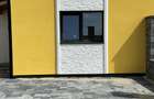 Duplex Mosnita veche - 10