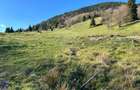 Teren 5000 mp-panorama spre Lac Colibita - 1