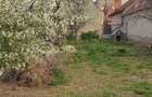 Proprietate de vânzare – Sebeș - 2