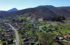 Teren 1,106mp Baia Mare / Strada Firiza - 1