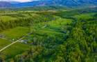 Teren 3.352 mp | Șinca Nouă | Râu | Cadrul natural superb | Comision 0 - 8