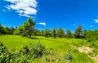 Teren intravilan   Cotmeana Arges - 5