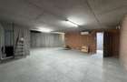 Spatiu Comercial I Concept Industrial -LOFT - 3