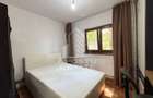 Apartament cu 2 camere, zona Lipovei, Timisoara, semidecomandat - 5