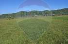 Teren intravilan de vânzare în Crăciunești – 1.780 mp - 7