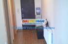 Apartament 2 camere Jiului complet mobilat si utilat s020 - 13