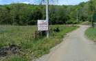 intravilan Tiparesti, relaxare aproape de padure - 7